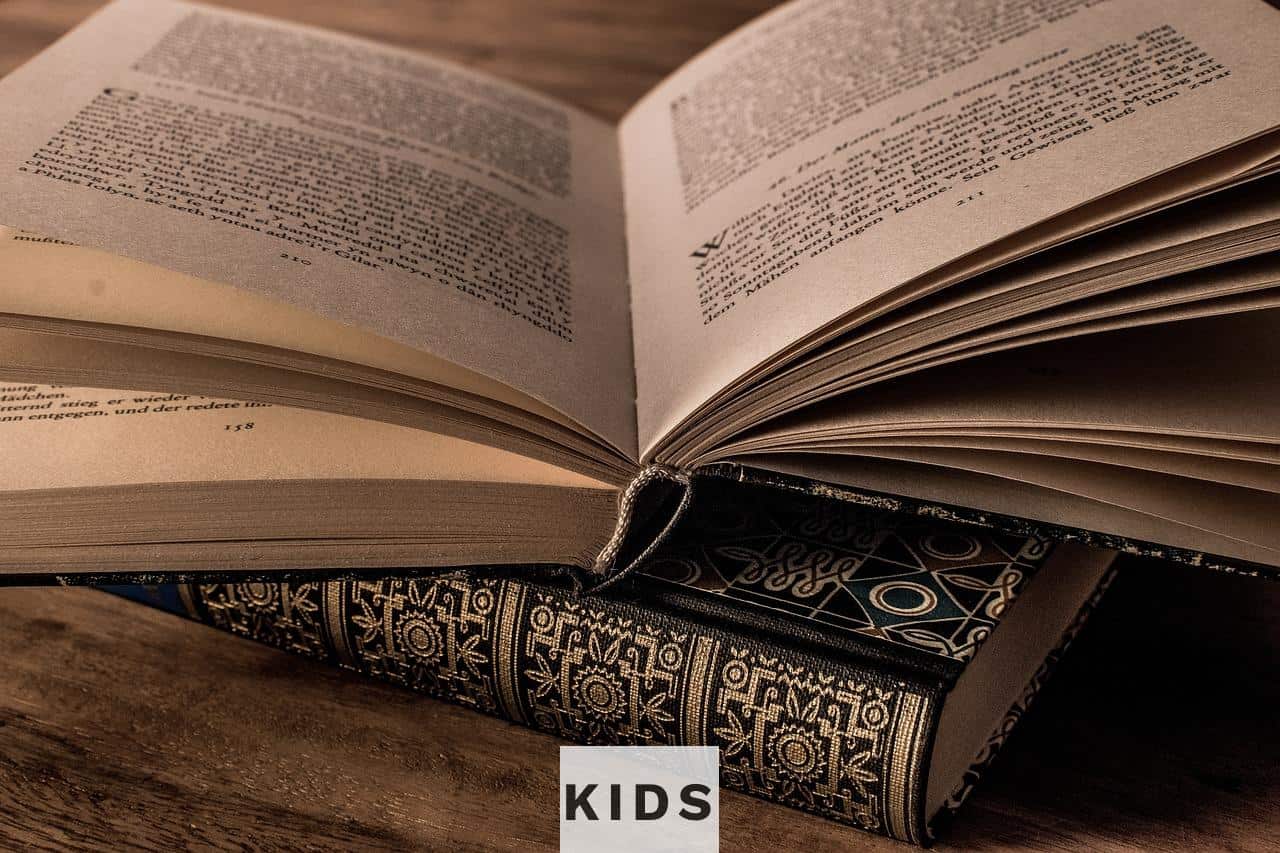 literature, a book, paper