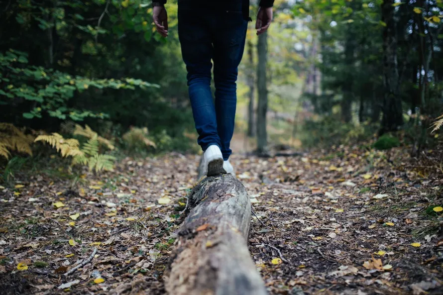Mindfulness en movimiento