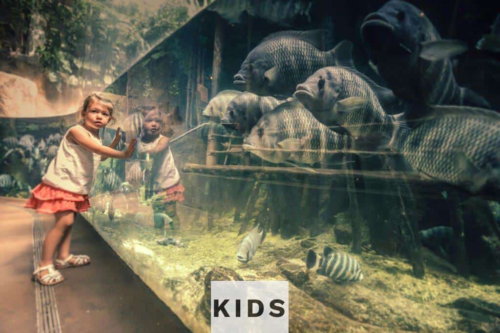 Young girl visiting an aquarium in Chicago, exploring fish through the glass.