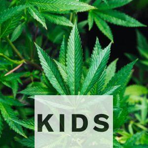 ¿Qué es el HHX y qué beneficios tiene? Efectos y composición vs CBD